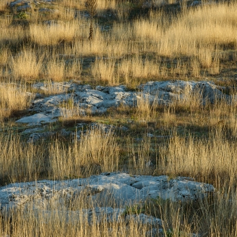 Geoparcul Platoul Mehedinți